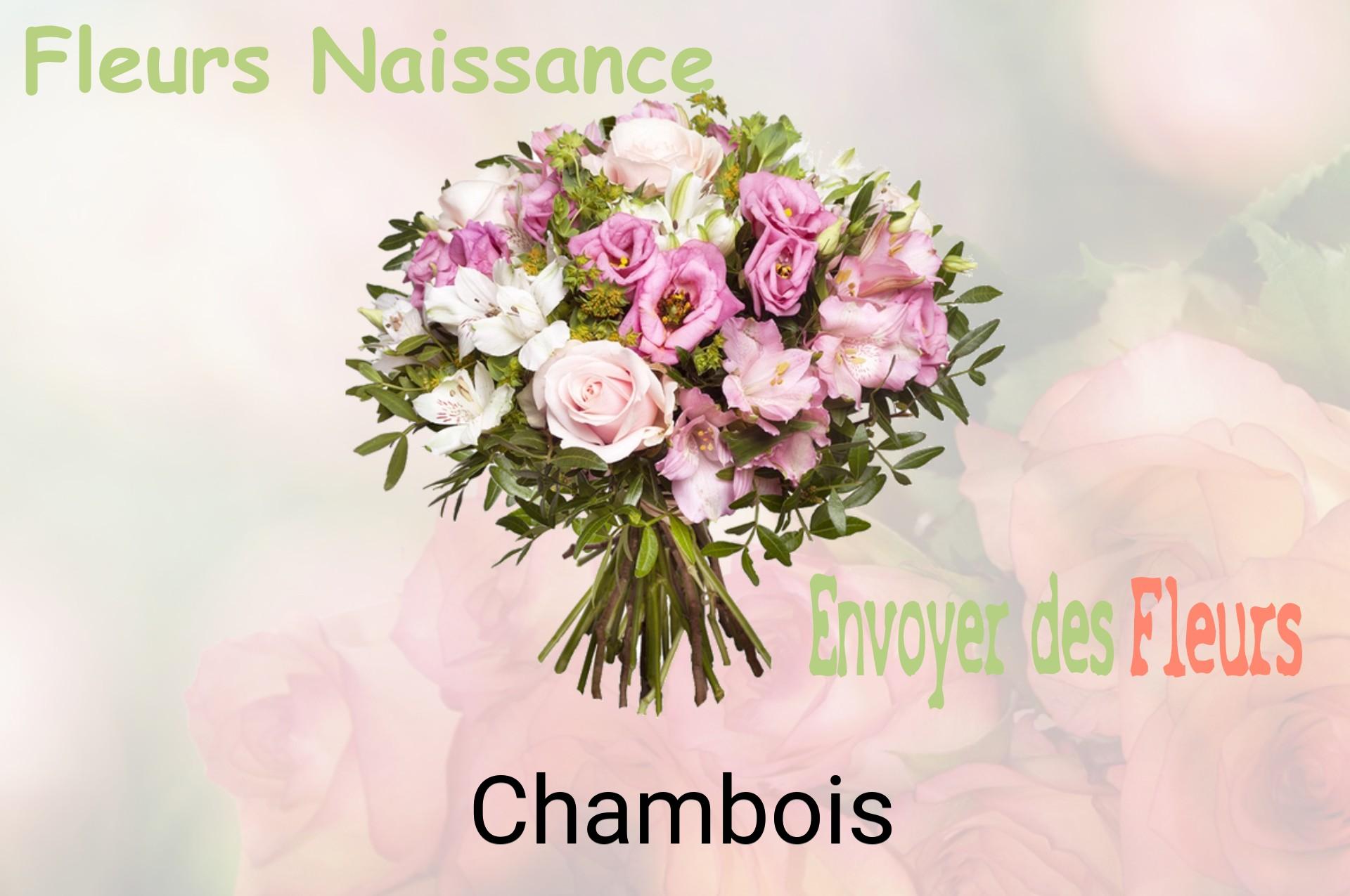 Bouquet de fleurs de naissance livré à Chambois